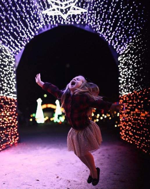 Walkway of Lights