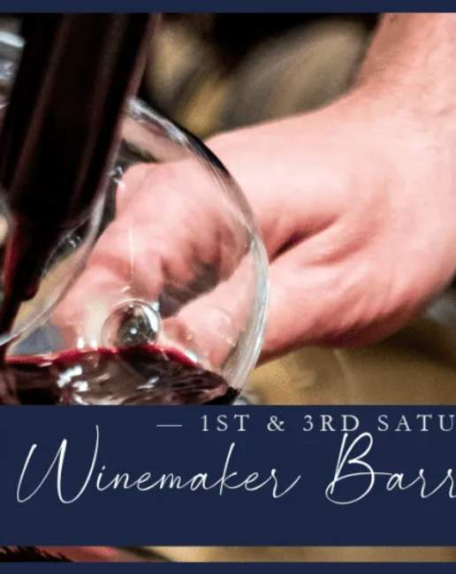 Winemaker Barrel Tasting