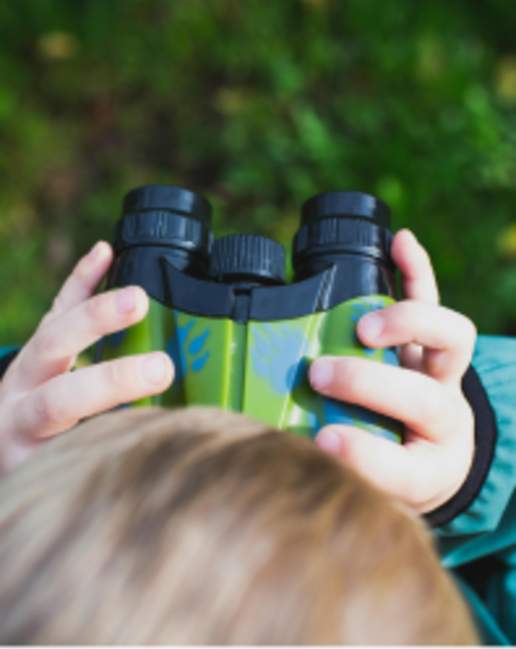 Family Nature Morning!