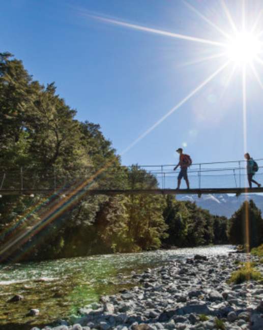 Aspiring Wilderness Experience - Guided Walks New Zealand | Travel Trade Queenstown