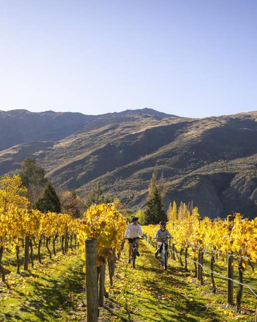 A couple bike through the vines on a glorious autumn day in Gibbston