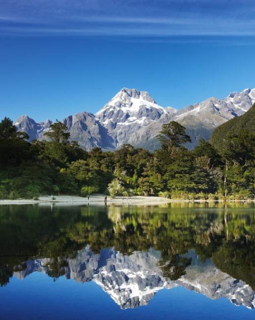 Hollyford Wilderness Experience | Travel Trade Queenstown