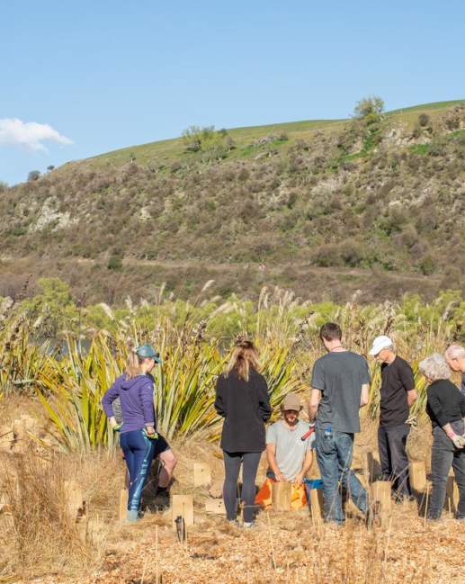 Volunteer's helping plant natives at Lake Hayes