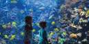 20% off admission to Maui Ocean Center