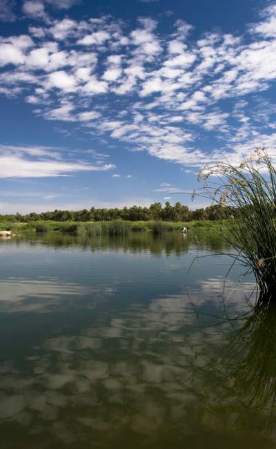 Estero San Jose del Cabo