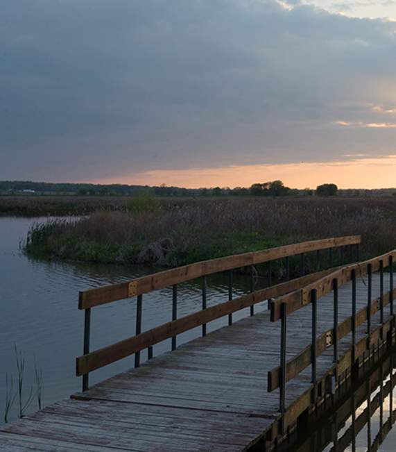 Goose Pond Friends brightened