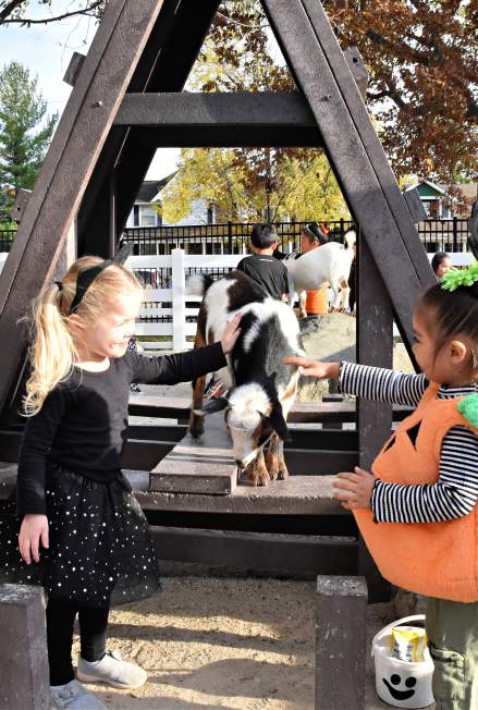 Halloween Events 2025