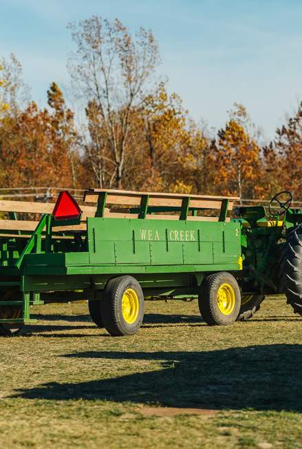 5 Reasons to Make Wea Creek Orchard Your Next Visit