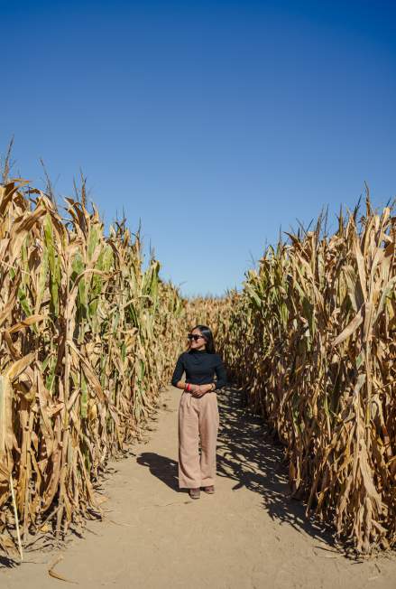 The Best Fall Weekend in Lafayette-West Lafayette, Indiana