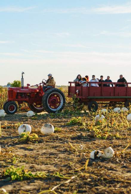 10+ Fall Adventures in Greater Lafayette