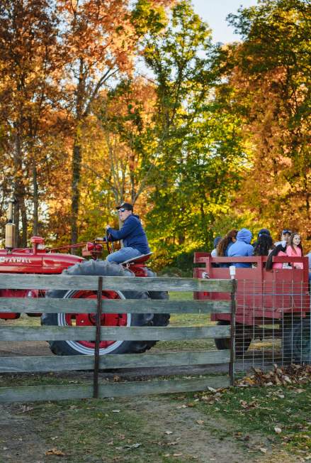 Let’s Spend a Fall Day in Lafayette, IN!