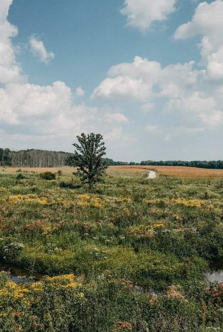 Prophetstown State Park Lookout