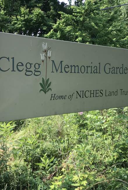 Clegg Memorial Garden