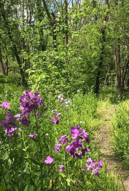 Haan Museum Nature Trail