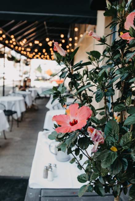 Bistro 501