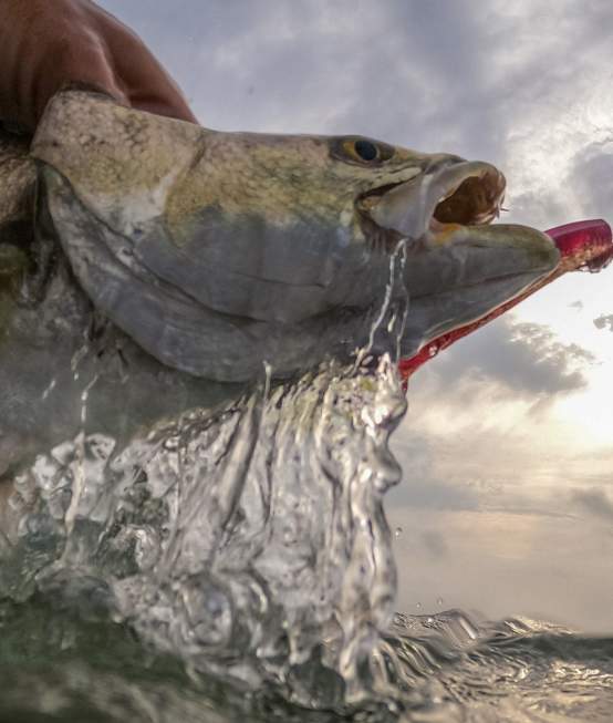 bay fishing