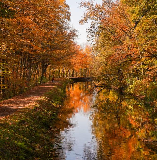 3 Beautiful Fall Foliage Cycling Routes & Mountain Bike Parks
