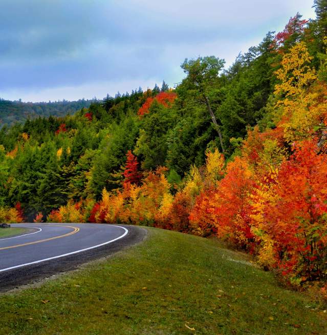 7 Scenic Drives for the Fall Foliage Follower