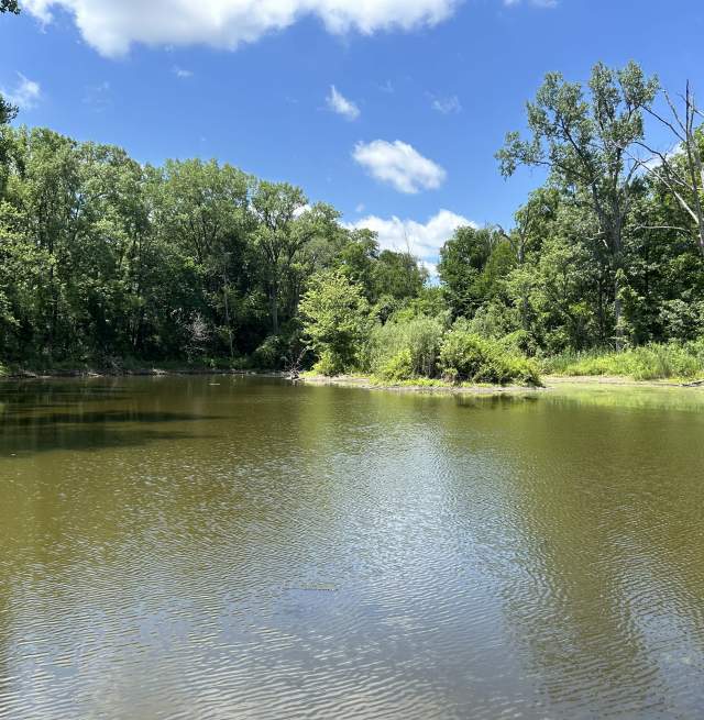 Best Outdoor Things to Do This Summer in Woodstock, IL