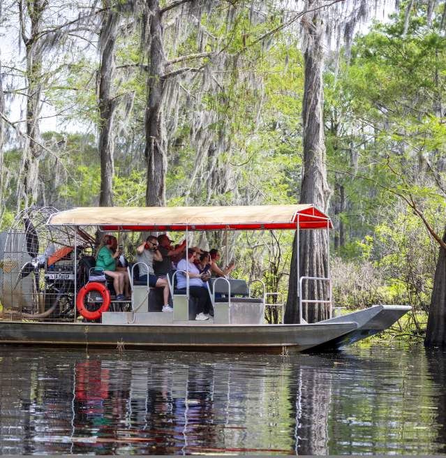 Basin Landing Swamp Tours
