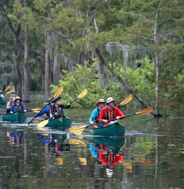 Canoeing in a swamp