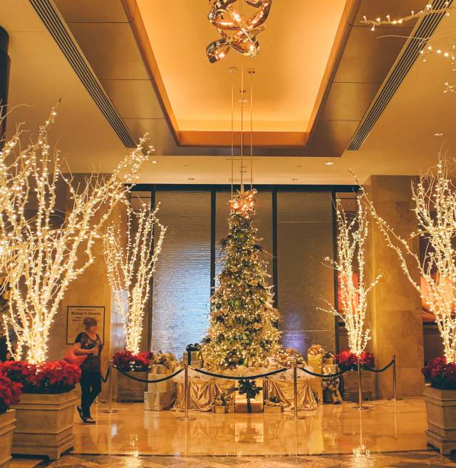 Hilton Americas Holiday Decor Christmas Lights