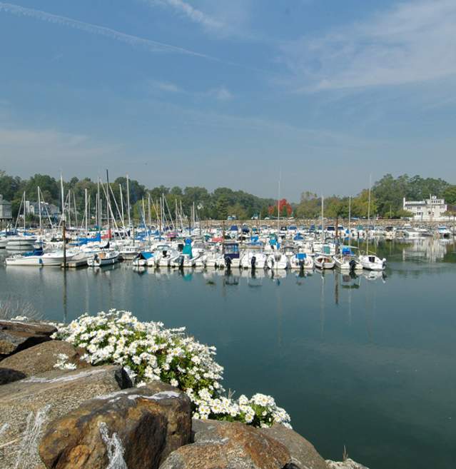 Sailboats are docked on the water in Rye.
