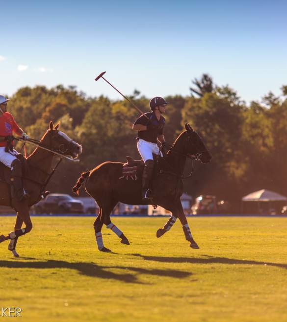 people playing polo