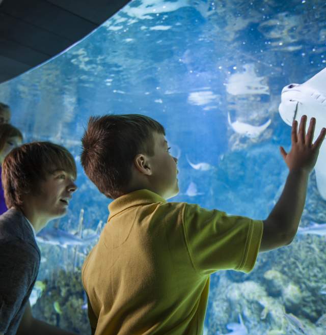 10 Things to Do in May in Omaha