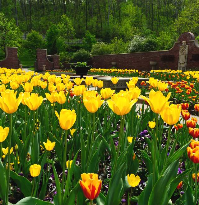 10 Things to Do in April in Omaha