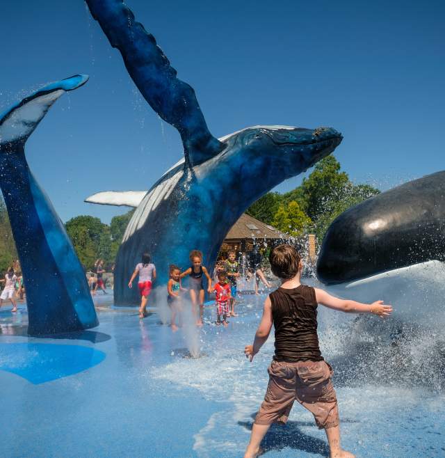 10 Things to Do in June in Omaha
