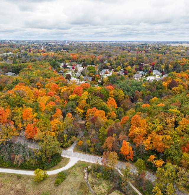 fall foliage and road