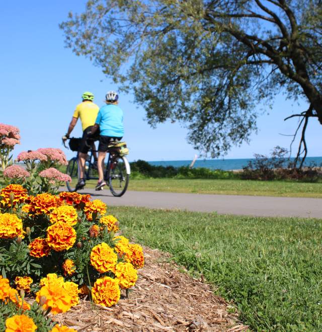 Mariner's Trail couple on tandem bike with orange flowers in foreground