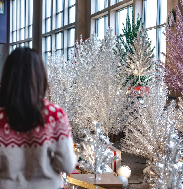 Evergleams at Library 2023