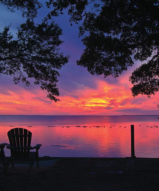 sunset duck