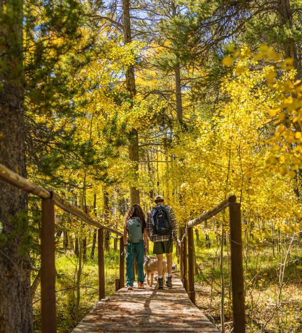Hiking on Casper Mountain