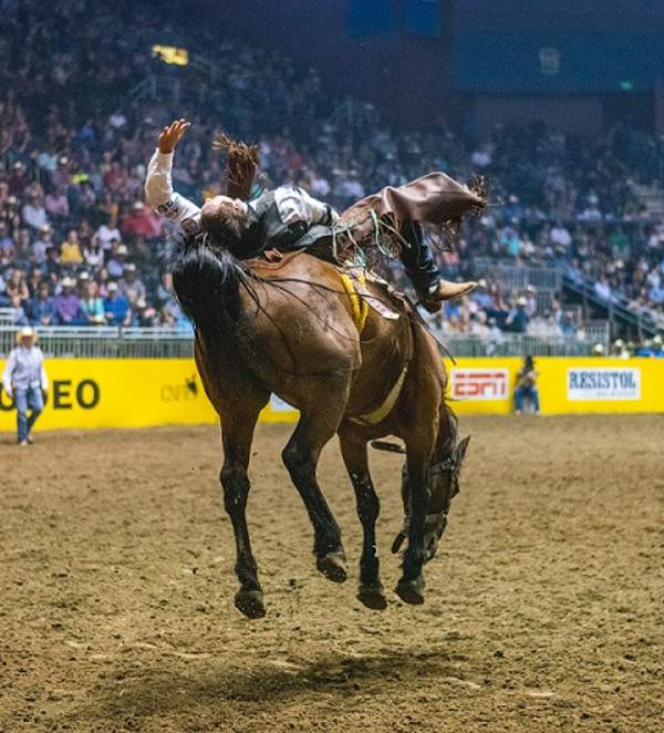 Trip Worthy Events in 2020 - CNFR