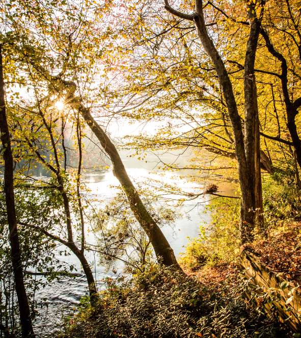 Chattahoochee River National Recreation Area-Island Ford Unit