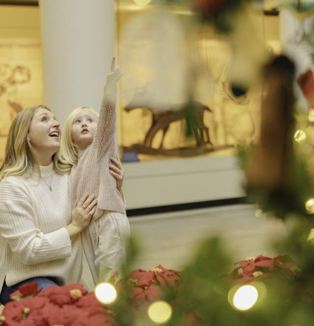 Family at the Art Museum during the Holidays