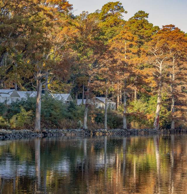 Chickahominy Riverfront Park Fall