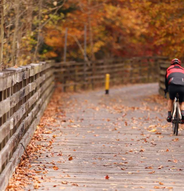 Biking in the Fall