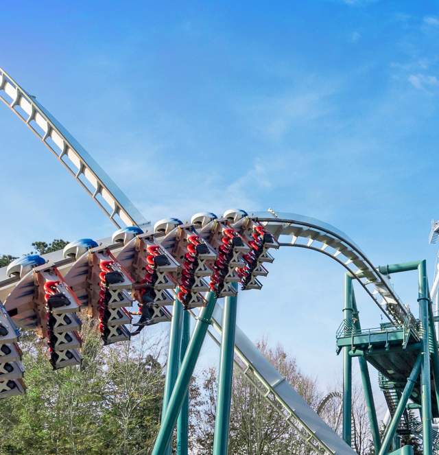 Busch Gardens Roller Coaster