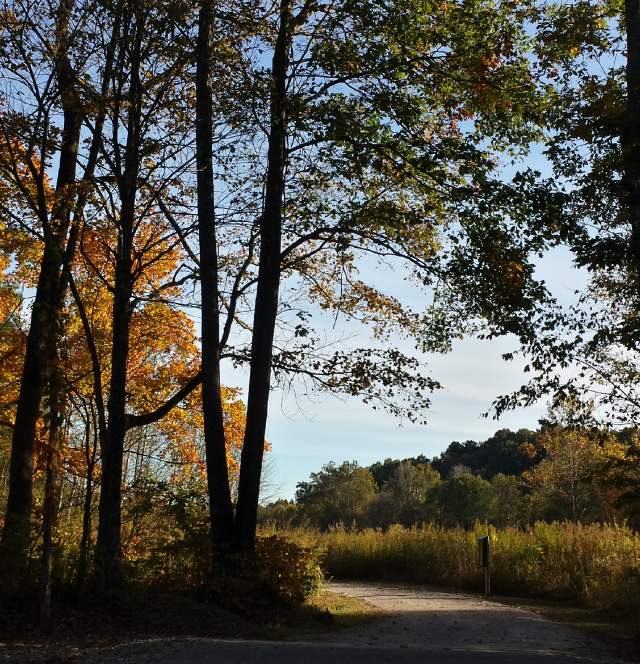 Burkhart Creek Trail