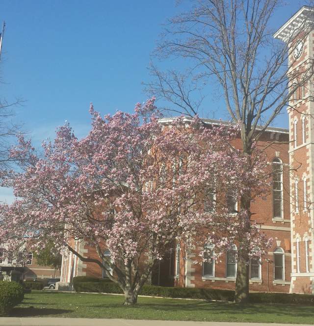 Morgan County Courthouse