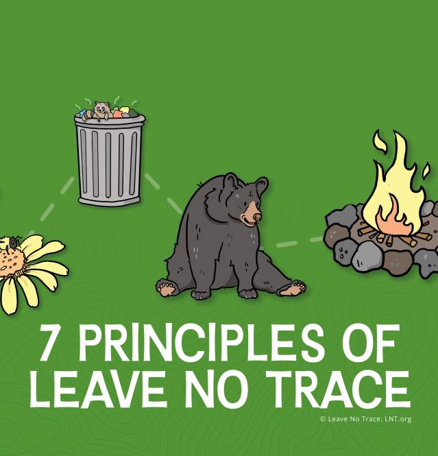 Leave No Trace Collection