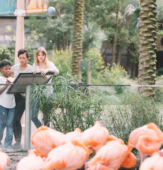Local LGBT family checks out Audubon Zoo