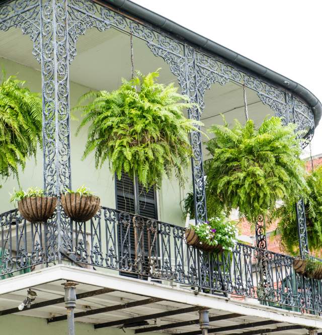 French Quarter - Architecture