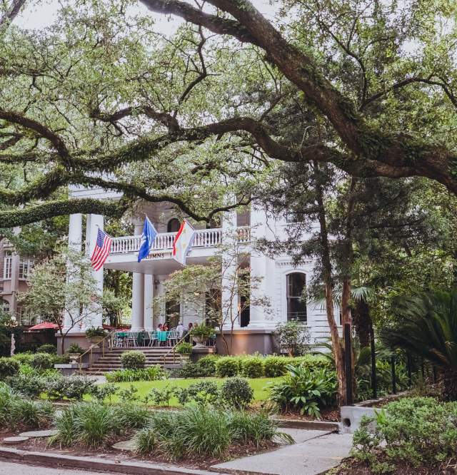 Confederacy of Dunces Inspired Photos - "Patrolman Mancuso inhaled the moldy scent of oaks and thought, in a romantic aside, that St. Charles Avenue must be the loveliest place in the world."