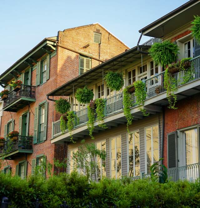 Pirate's Alley - French Quarter - Magic Hour - Summer