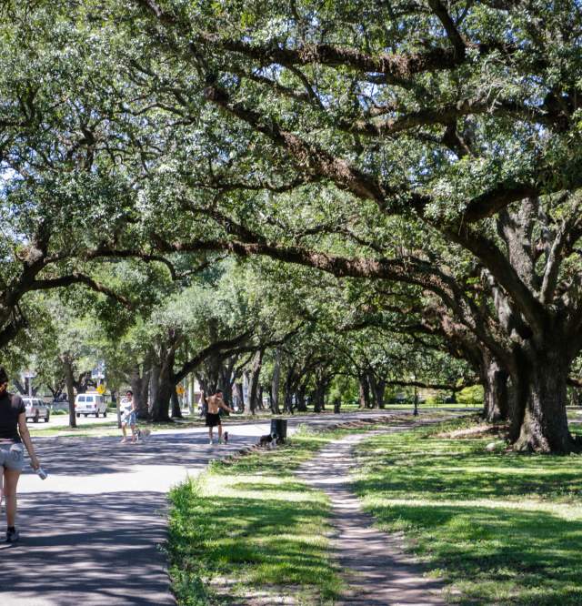 Audubon Park